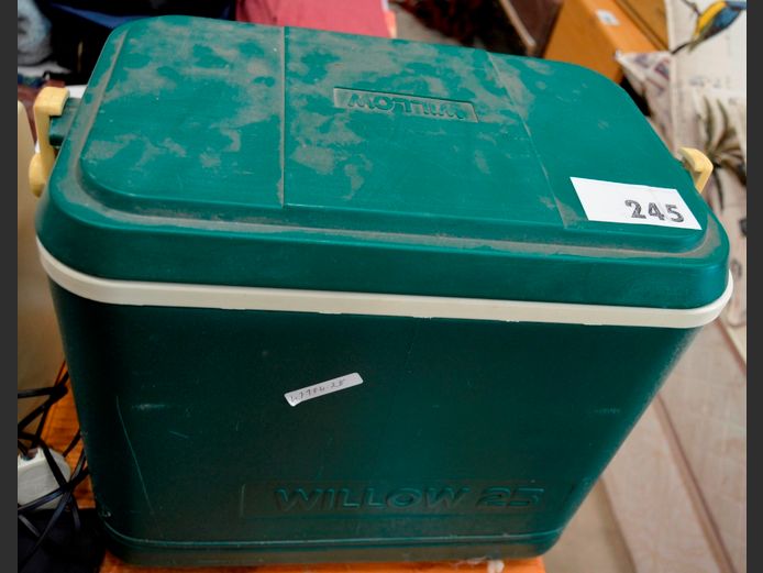 WILLOW 25 LITRE COOLER BOX, 40 x 24 x 37cm