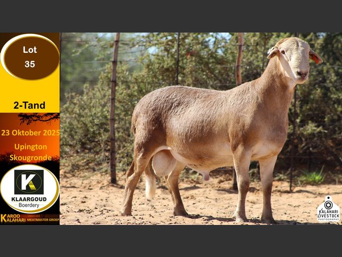 CP 35 | Chris Potgieter & Christia Scholtz - Klaargoud Boerdery