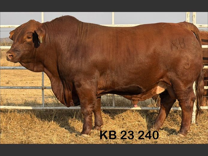 KB23240 | KEEVERSFONTEIN BDY