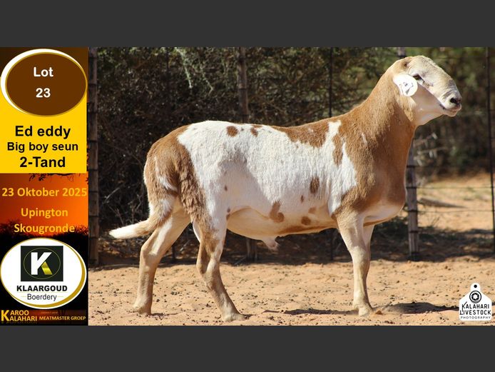 CP 23 | Chris Potgieter & Christia Scholtz - Klaargoud Boerdery