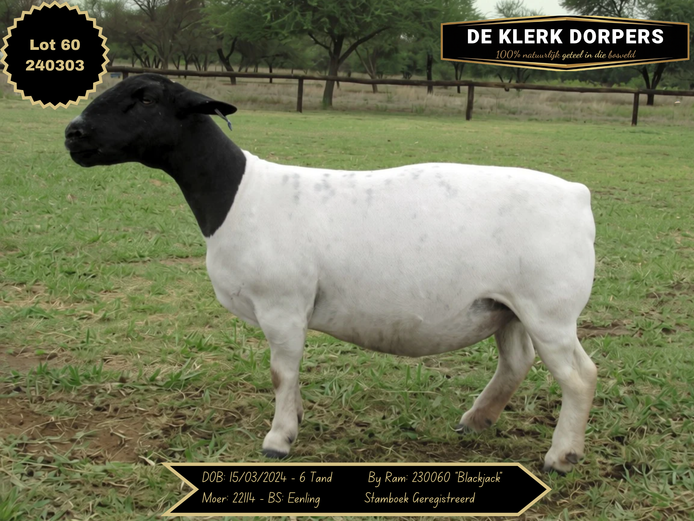 240303 | DE KLERK DORPERS