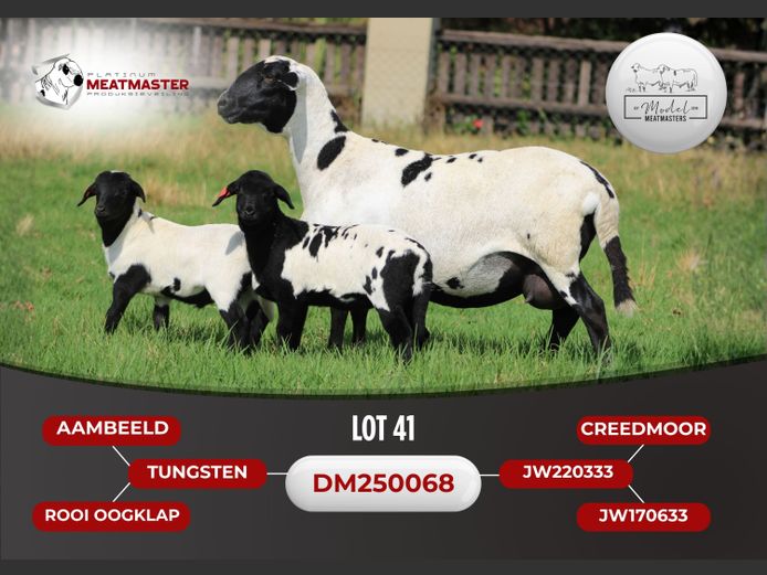 DM 25-0068 | Model Meatmasters