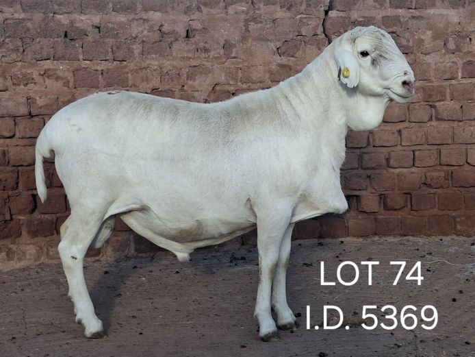 5369 | FRANCOIS VAN RENSBURG