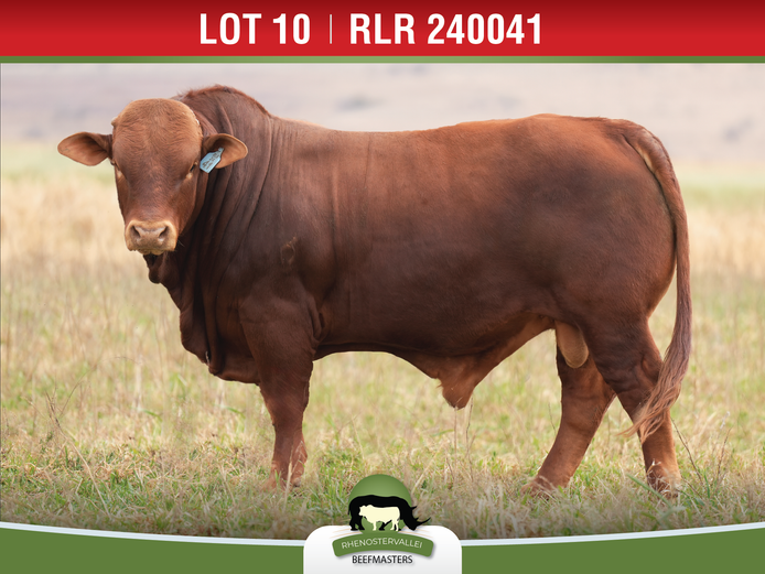RLR 240041 | J.H. MEYER