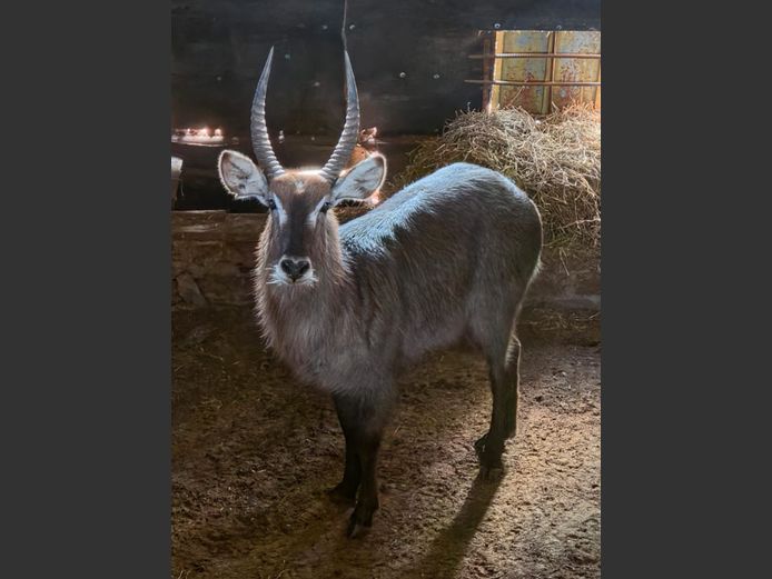 WATERBOK | DE KOK BOERDERY