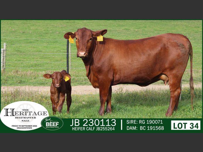 JB  230113 | JUST BEEF