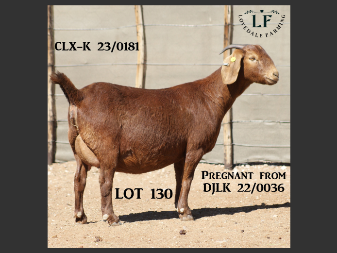LOVEDALE FARMING | 23-0181CLX-K