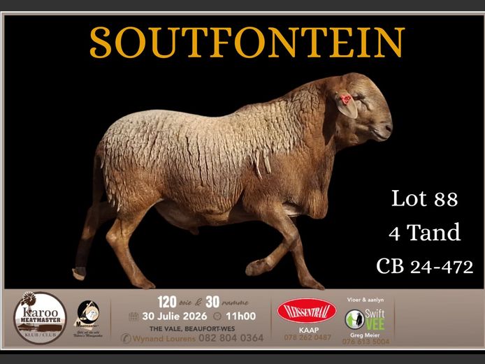CB 24 - 472 | Charles Bloem - Soutfontein Meatmasters