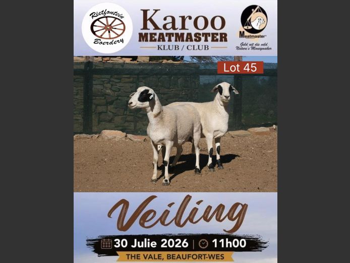 SB 091 | Tiaan Lourens - Meiringspoort Meatmasters