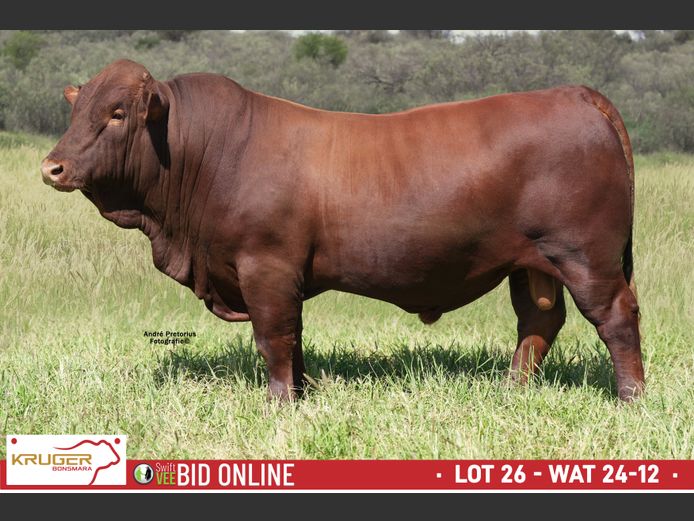 WAT 240012 | KRUGER BOERDERY