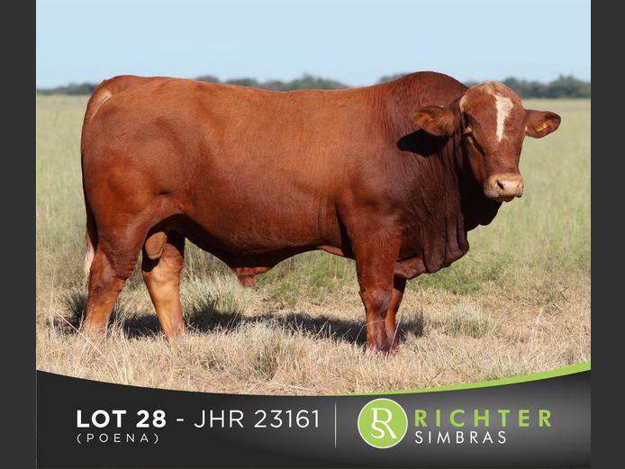 JHR23161C