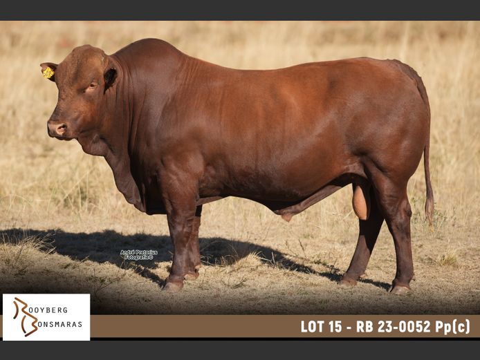 RB 230052 Pp(c) | ROOYBERG BOERDERY