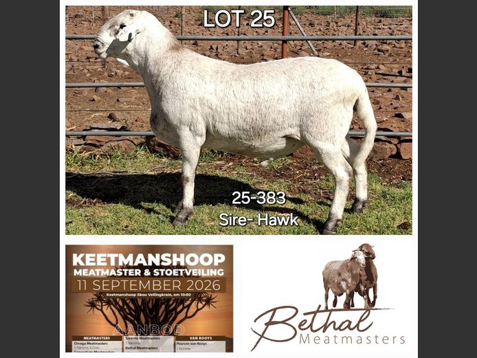 25-383 | Bethal Meatmasters