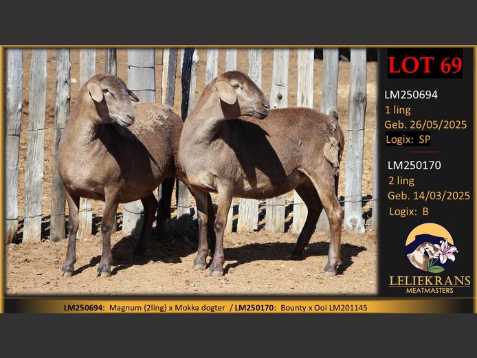 LM250170 | LELIEKRANS MEATMASTERS