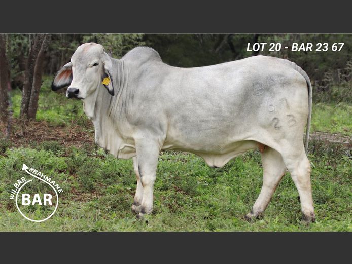 BAR2367 | BARNARD WJ