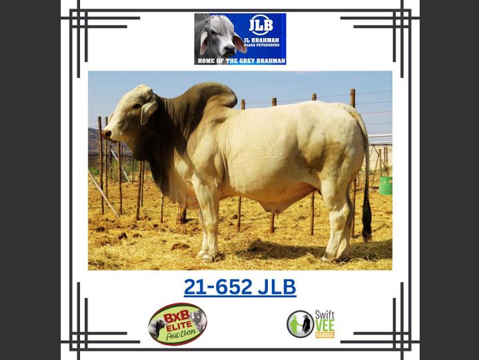 21-0652JLB | JLB BRAHMAN