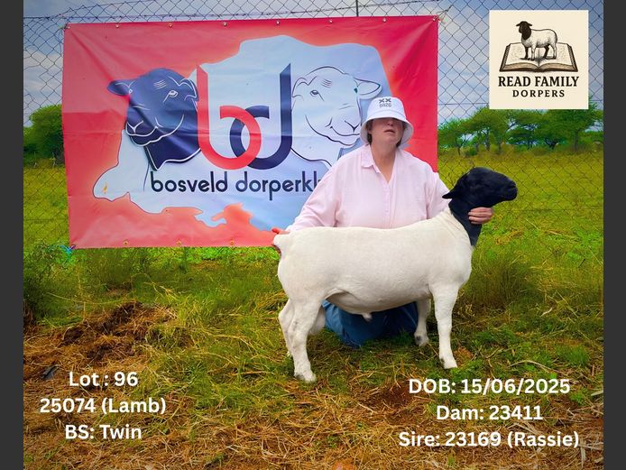 25074 | RAYMOND READ DORPERS
