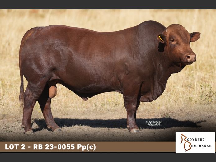 RB 230055 Pp(c)| ROOYBERG BOERDERY
