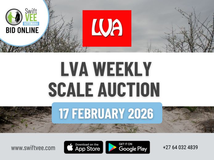 LVA WEEKLY SCALE AUCTION