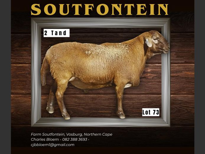 CB 240140 | SOUTFONTEIN MEATMASTERS