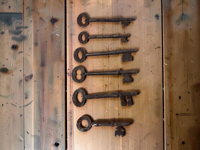 Collection of Antique Cast Iron Skeleton Keys
