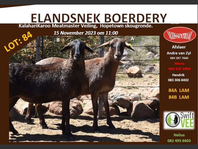 RSL 84 B | ELANDSNEK BOERDERY