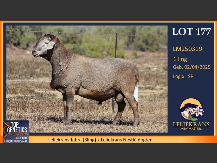LM250319 | LELIEKRANS MEATMASTERS