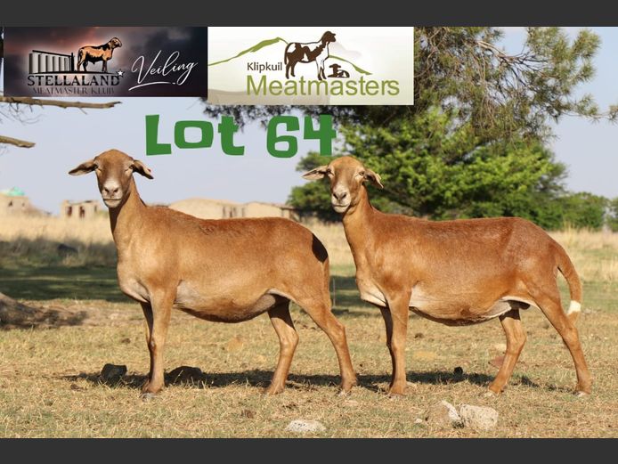 JAD9089 | Klipkuil Meatmasters