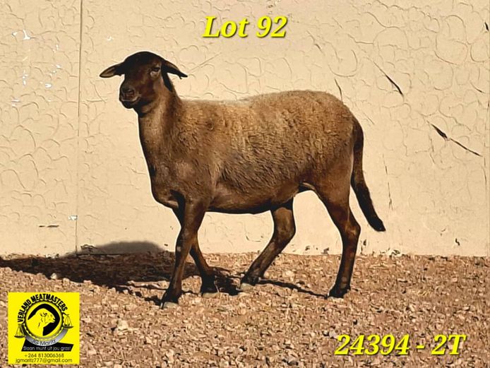 VERLAND MEATMASTERS | 24394