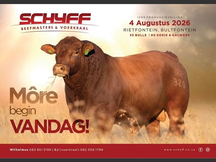 SCHYFF BEEFMASTERS 12DE PRODUKSIEVEILING