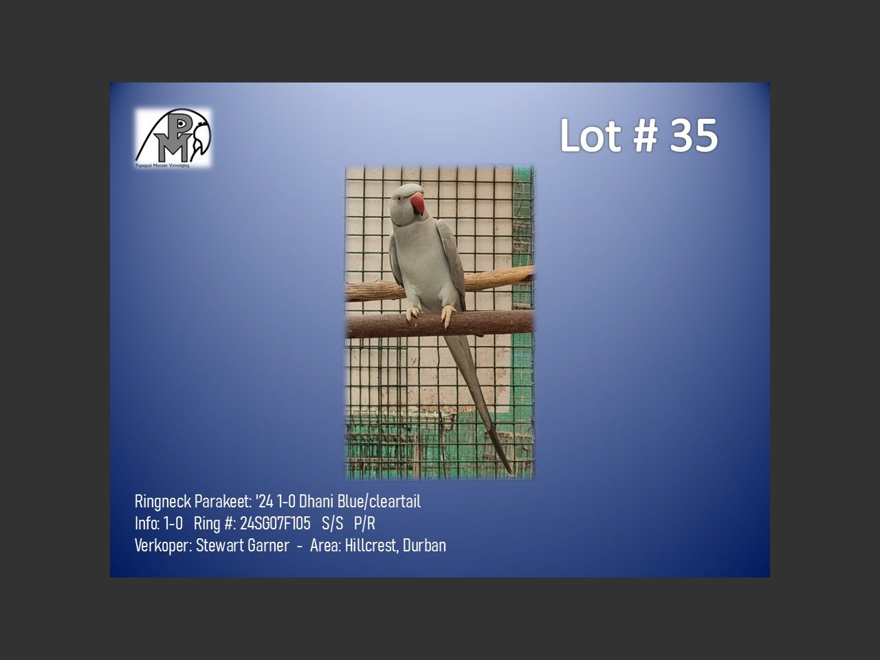 images