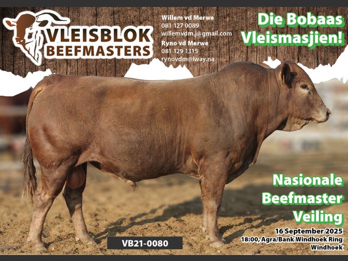 21-0080VBVB | VLEISBLOK BEEFMASTER