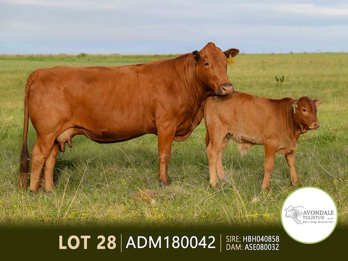 ADM180042 | A.D. MULLINS