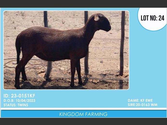 ID:23-0151KF | KINGDOM FARMING