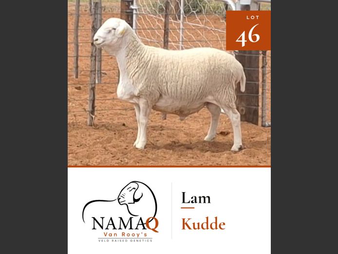 NAMAQ VAN ROOY RAMME