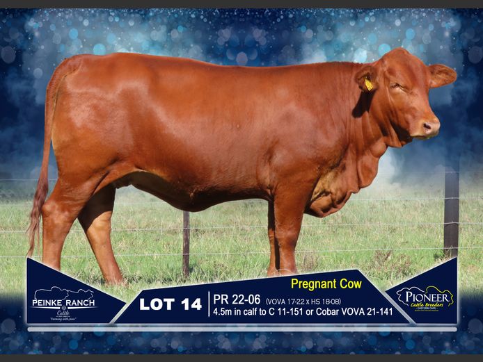 PR 220006 | PEINKE RANCH