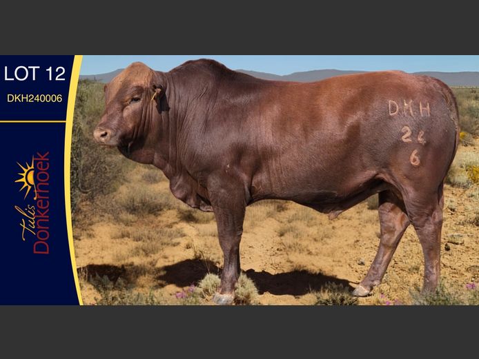 DKH240006 | DONKERHOEK BOERDERY TRUST