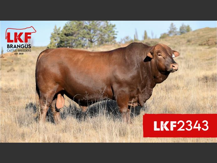 LKF2343 | Doringkuil Boerdery Trust