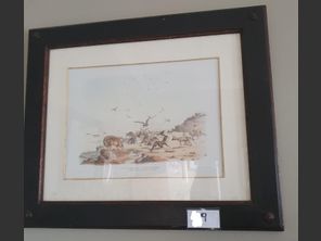 images
