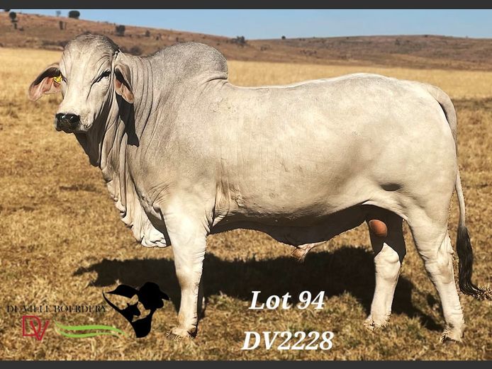DV2228 | DE VILLE BOERDERY (EDMS) BPK