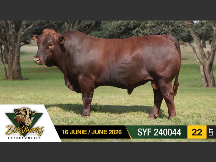 SYF240044 | SYFERFONTEIN BOERDERY