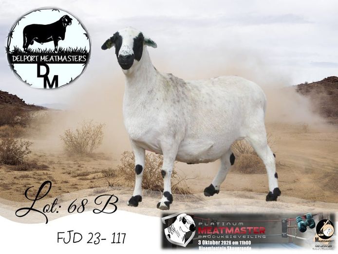 FJD 23-117 | Delport Boerdery