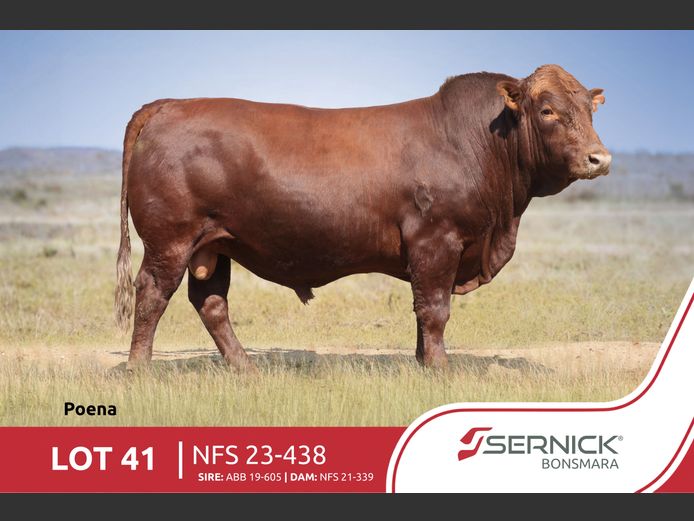 NFS 230438 Pp(c) | SERNICK BONSMARA STOET
