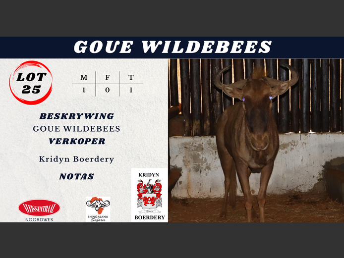 GOUE WILDEBEES