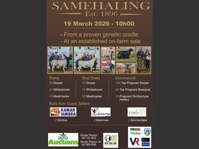 SAMEHALING DORPER, WHITE DORPER AND MEATMASTER PRODUCTION AUCTION
