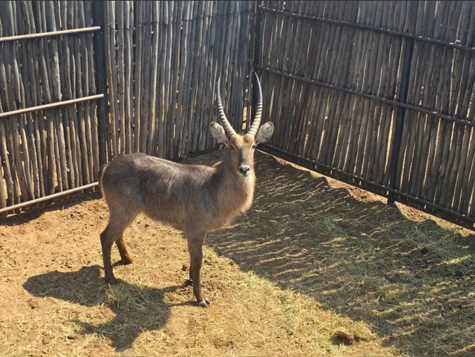 WATERBOK | HANLEY 1