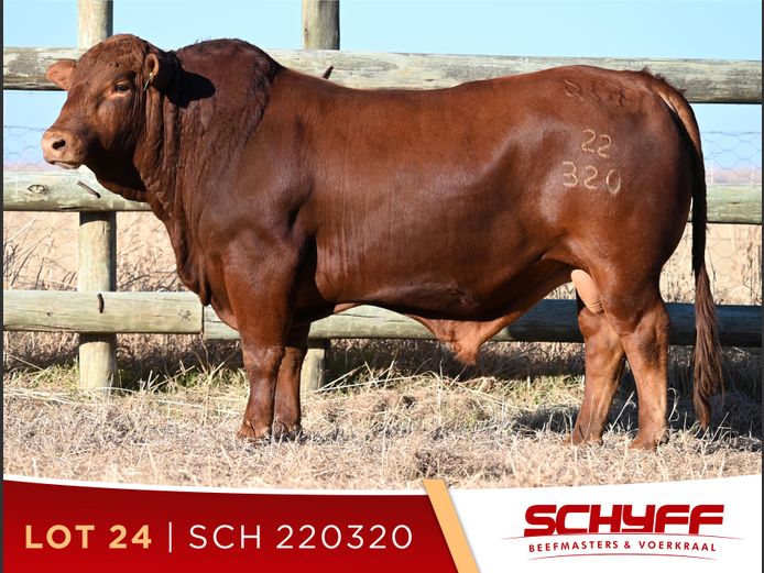 SCH 220320