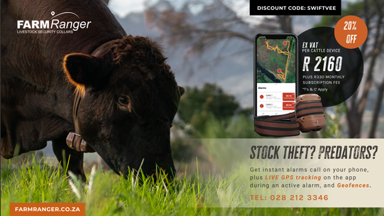 May-Cattle