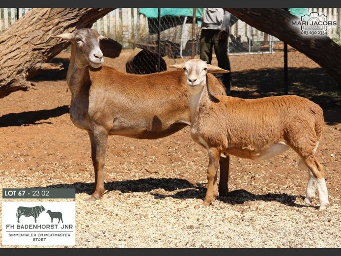 23-02 | FH Badenhorst JNR