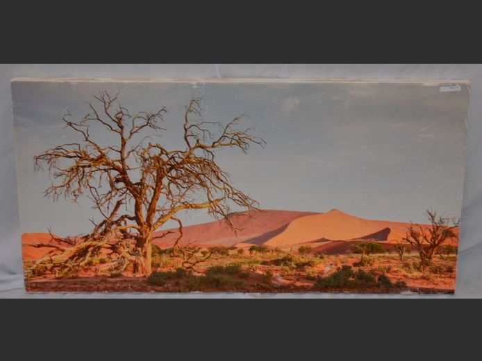 UNFRAMED PRINT ON CANVAS "DESERT SCENE", 101.5 x 51cm